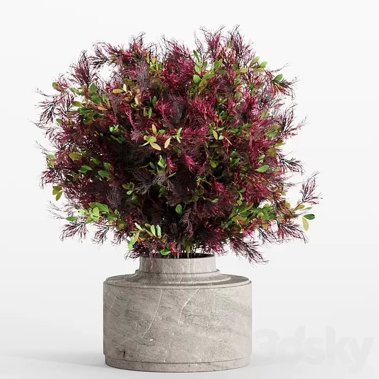 bouquet 7 3D Model Free Download