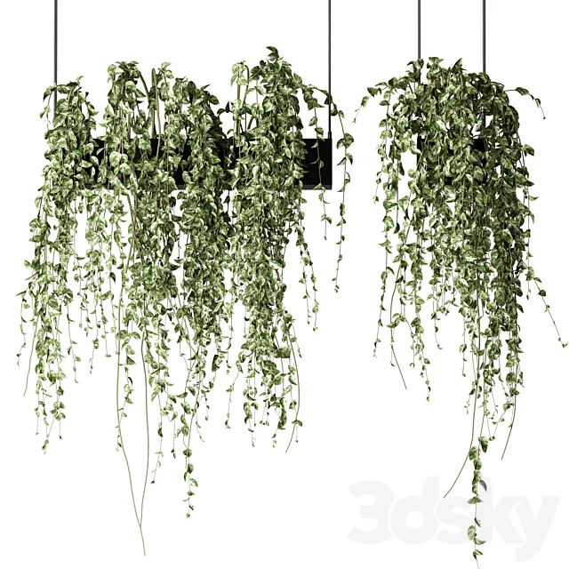 Bouquet Collection 08 – Decorative Hanging Plants 3D Model Bouquet Collection 08 – Decorative Hanging Plants 3D Model