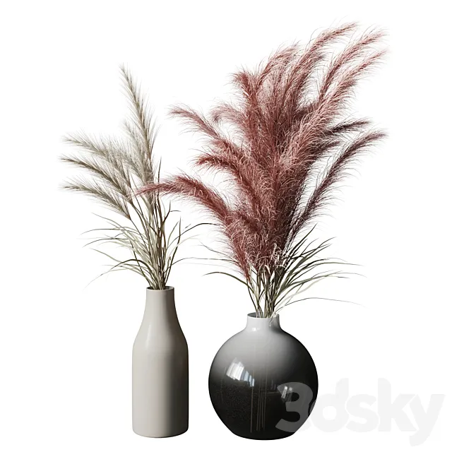 Bouquet Dried flower 01 3DModel Bouquet Dried flower 01 3DModel