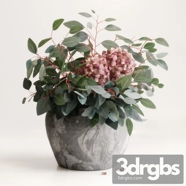 Bouquet Eucalyptus Hydrangea 3D Model Download Bouquet Eucalyptus Hydrangea 3D Model Download