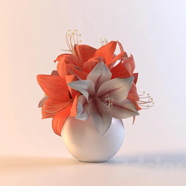 Bouquet gippeastrumov 3DModel Bouquet gippeastrumov 3DModel