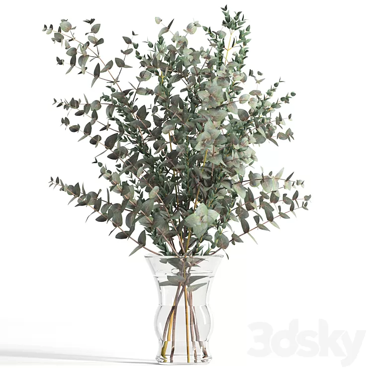 Bouquet of 2 types of eucalyptus 3D Model
