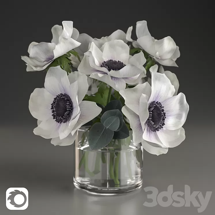 Bouquet of anemone 3D Model
