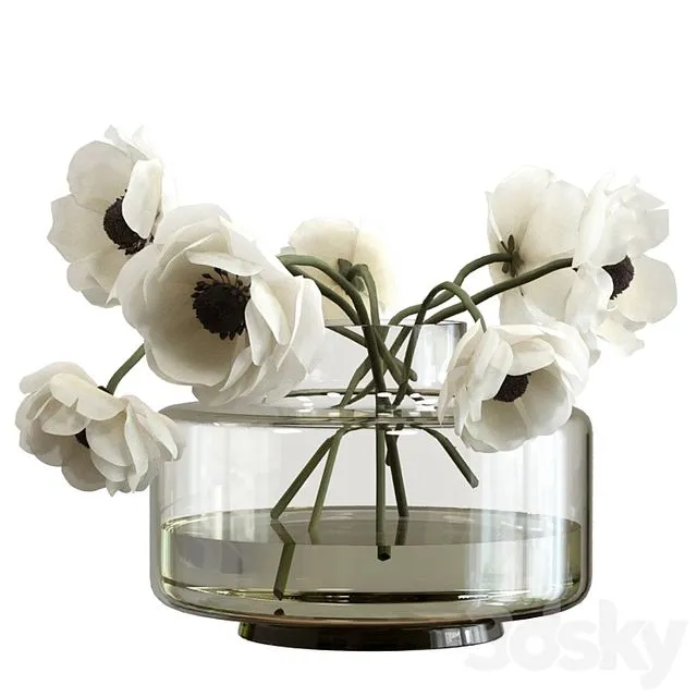 Bouquet of anemones 3D Model