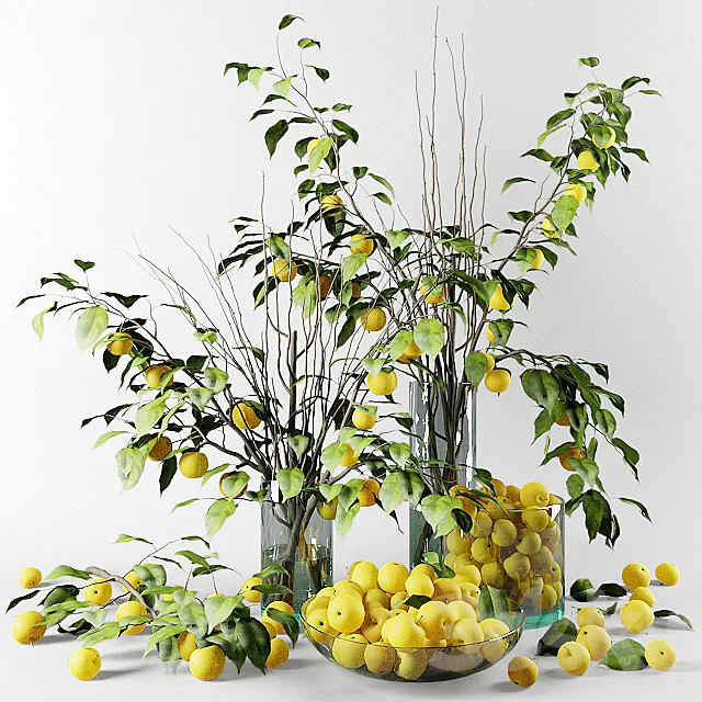 Bouquet of Chinese apple tree branches with yellow apples 3DModel