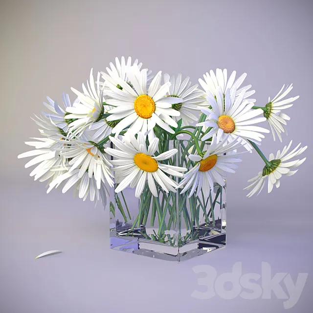 Bouquet of daisies 3D Model Bouquet of daisies 3D Model