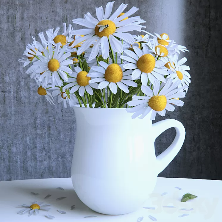 Bouquet of daisies 3D Model