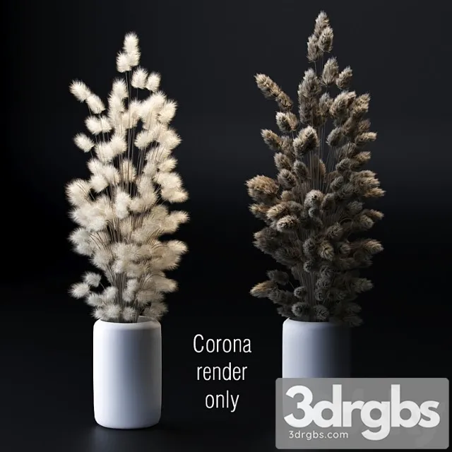 Bouquet of Dried Flowers 2 Models 3D Model Download Bouquet of Dried Flowers 2 Models 3D Model Download