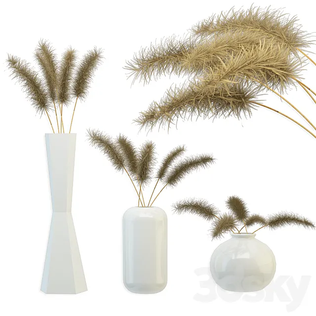 Bouquet of dried flowers 3D Model