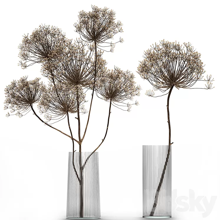 Bouquet of dried flowers in a glass vase with dry branches Hogweed . 158. 3D Model Free Download