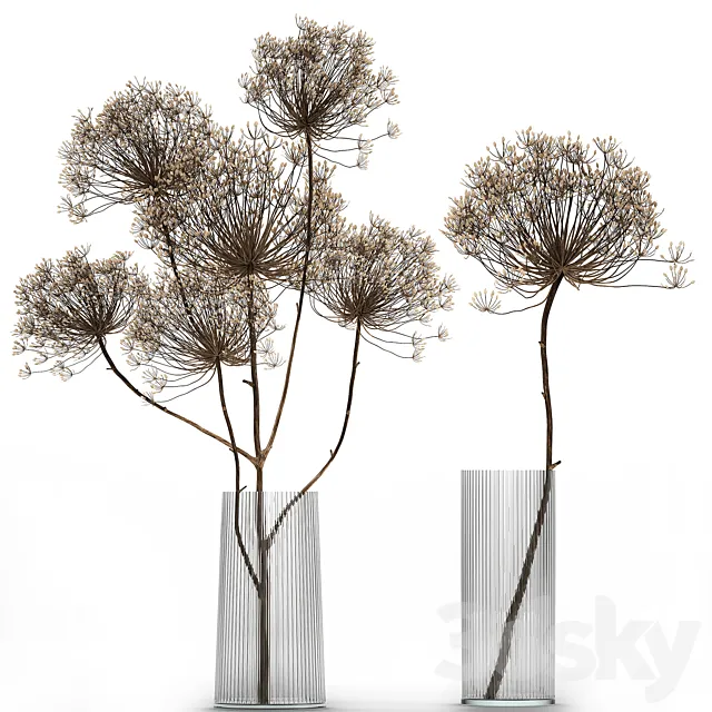 Bouquet of dried flowers in a glass vase with dry branches Hogweed . 158. 3DModel Bouquet of dried flowers in a glass vase with dry branches Hogweed . 158. 3DModel