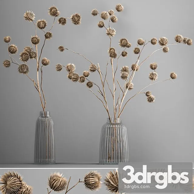Bouquet of Dried Flowers in a Vase With Branches of Dry Thorns Thistle 182 3D Model Download Bouquet of Dried Flowers in a Vase With Branches of Dry Thorns Thistle 182 3D Model Download