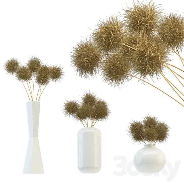 Bouquet of dried round flowers 3DModel Bouquet of dried round flowers 3DModel