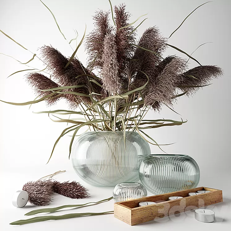 Bouquet of dry grass in a glass vase 3D Model