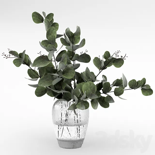Bouquet of eucalyptus 3DModel