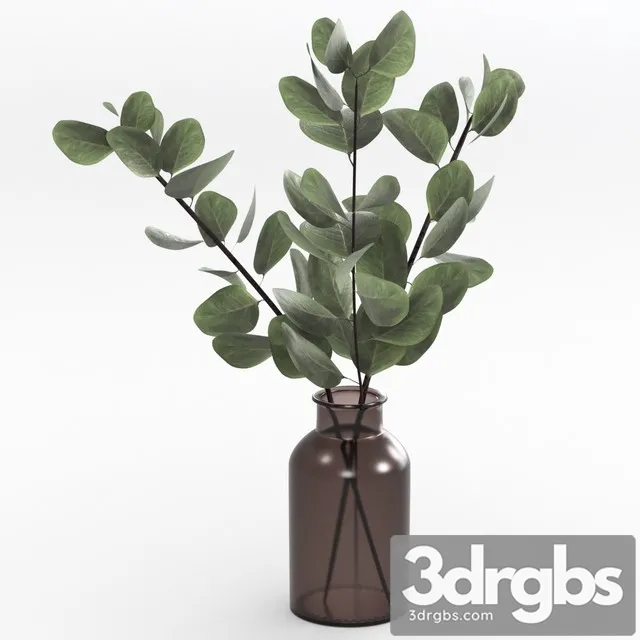 Bouquet of Eucalyptus Twigs 3D Model Download Bouquet of Eucalyptus Twigs 3D Model Download