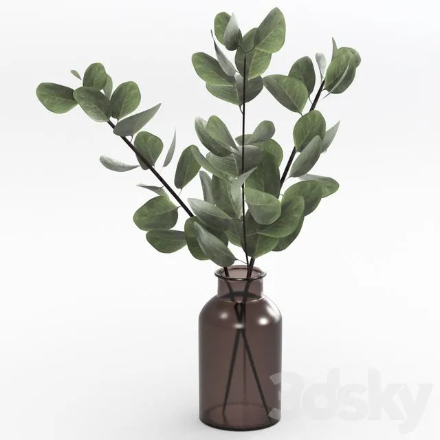 Bouquet of eucalyptus twigs 3D Model Bouquet of eucalyptus twigs 3D Model