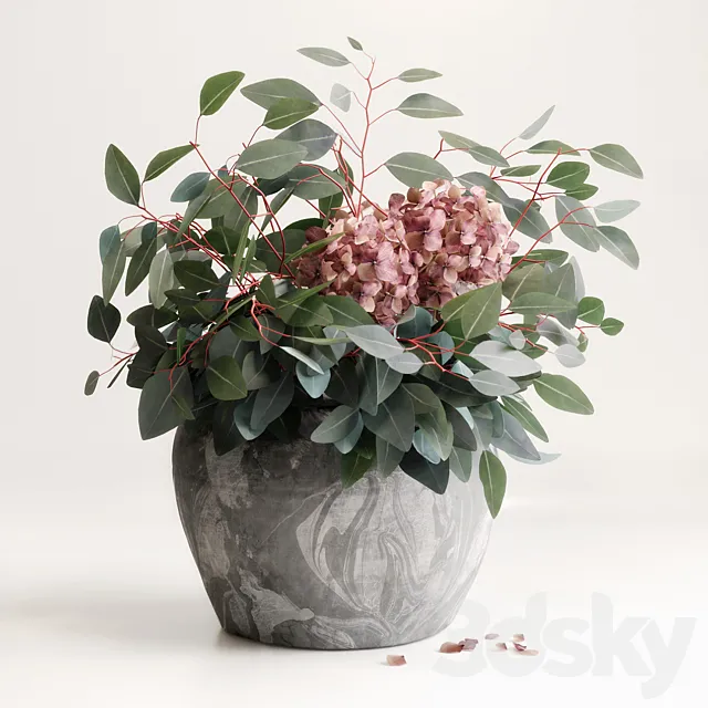 Bouquet of Eucalyptus with Hydrangea 3DModel