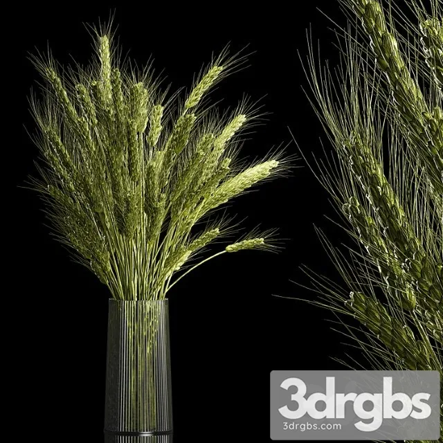 Bouquet of Green Flowers in a Glass Vase for Decor from Wheat Branches Spikelet 265 3D Model Download Bouquet of Green Flowers in a Glass Vase for Decor from Wheat Branches Spikelet 265 3D Model Download