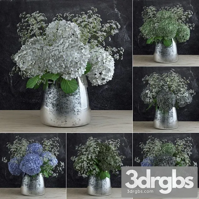Bouquet Of Gypsophila With Hyndrangeas 1 3D Model Download Bouquet Of Gypsophila With Hyndrangeas 1 3D Model Download