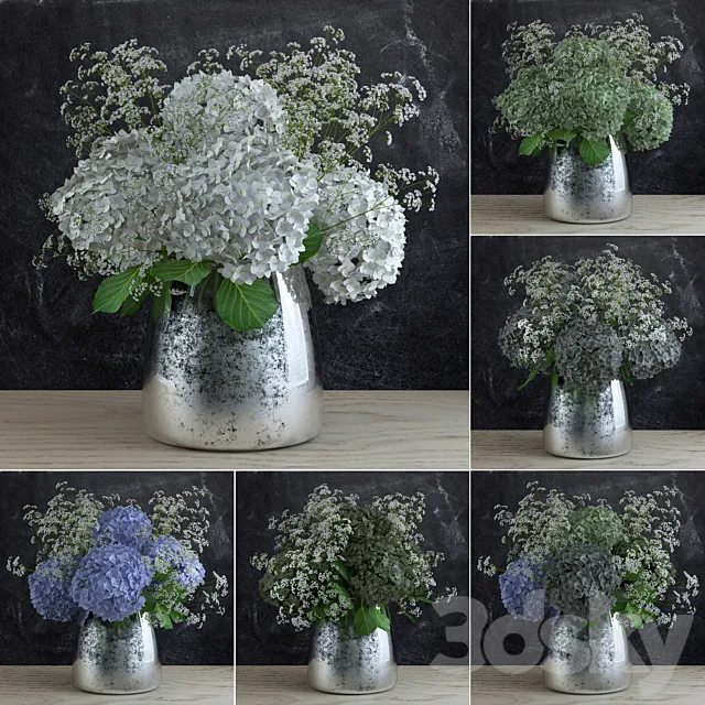 Bouquet of Gypsophila with Hyndrangeas 3DModel Bouquet of Gypsophila with Hyndrangeas 3DModel