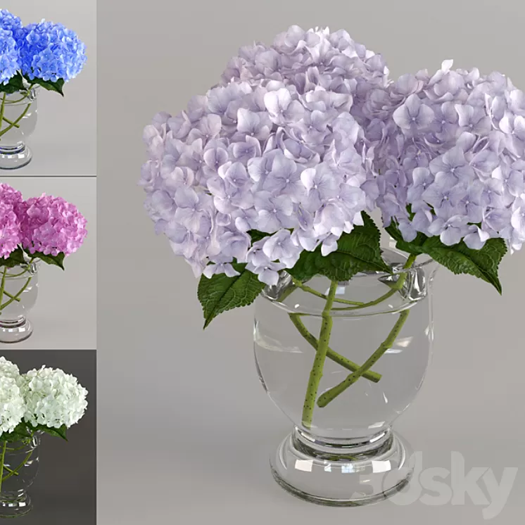 Bouquet of hydrangeas 3D Model Bouquet of hydrangeas 3D Model