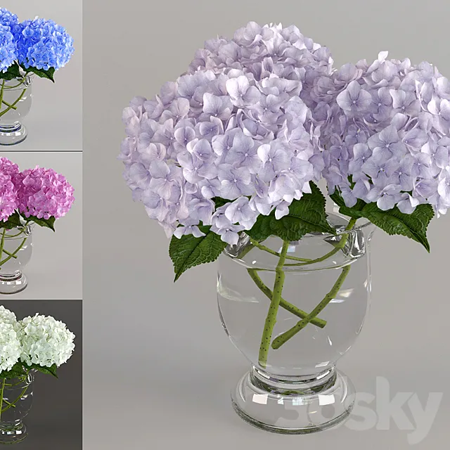 Bouquet of hydrangeas 3DModel Bouquet of hydrangeas 3DModel