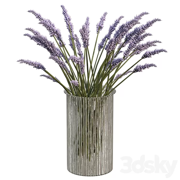 Bouquet of lavender 3D Model Free Download