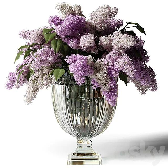 Bouquet of lilacs in a glass vase 3D Model Bouquet of lilacs in a glass vase 3D Model
