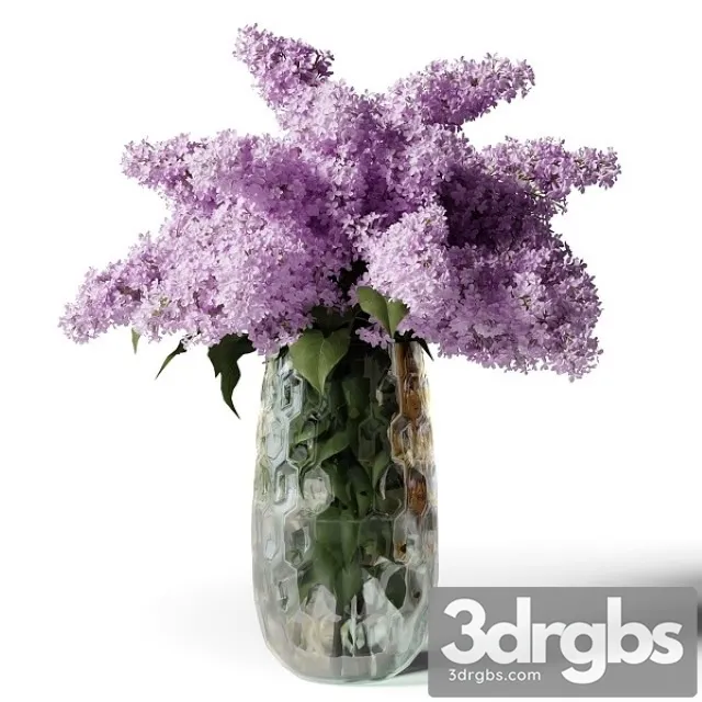 Bouquet of Lilacs in a Modern Tall Vase 3D Model Download Bouquet of Lilacs in a Modern Tall Vase 3D Model Download