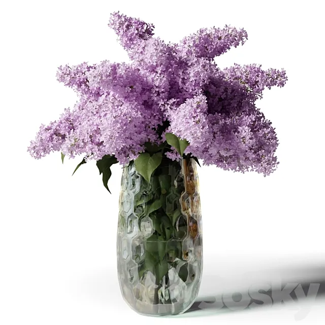 Bouquet of lilacs in a modern tall vase 3DModel Bouquet of lilacs in a modern tall vase 3DModel