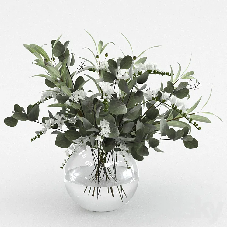 Bouquet of olive and eucalyptus branches 3D Model Free Download Bouquet of olive and eucalyptus branches 3D Model Free Download