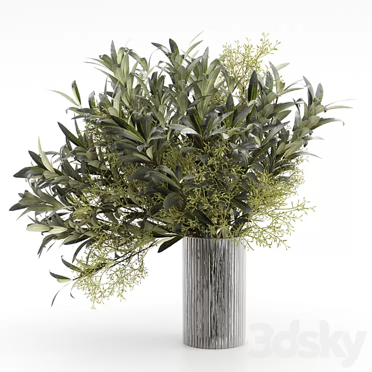 Bouquet of olive branches. 3D Model