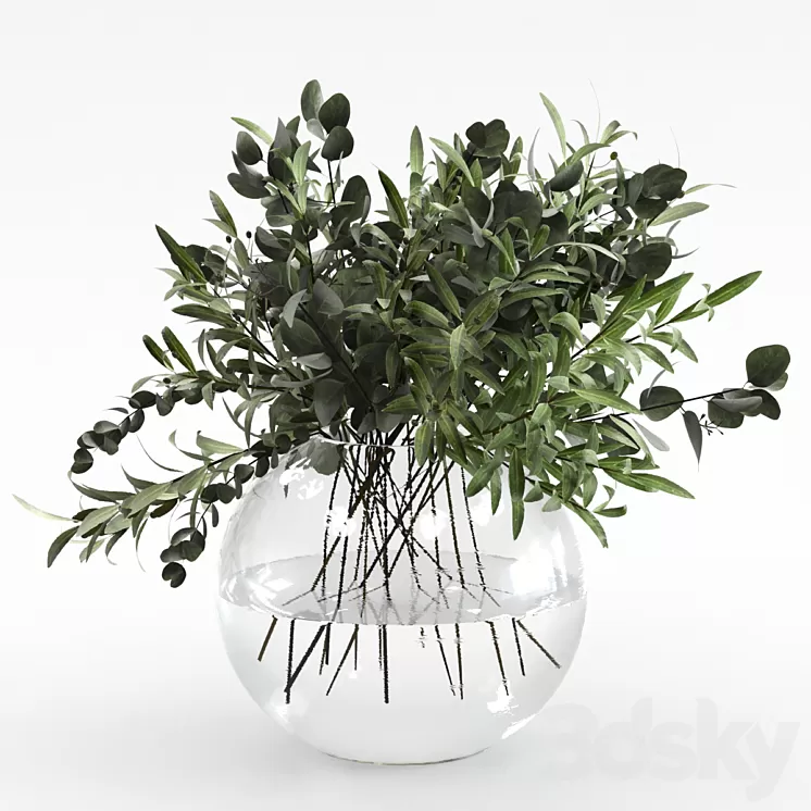 Bouquet of olives and eucalyptus 3D Model
