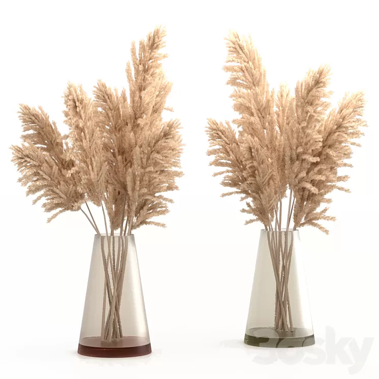 Bouquet of pampas grass 3D Model
