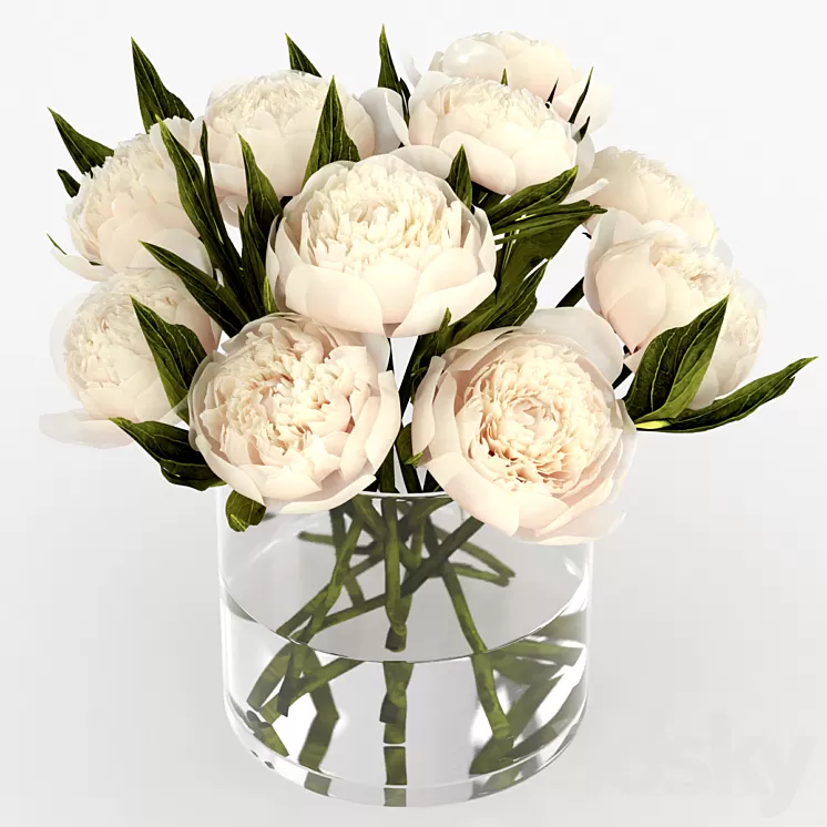 Bouquet of peonies 3D Model