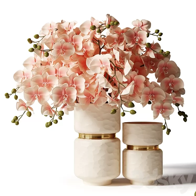 Bouquet of pink orchids in a modern beige vase 3D Model Free Download