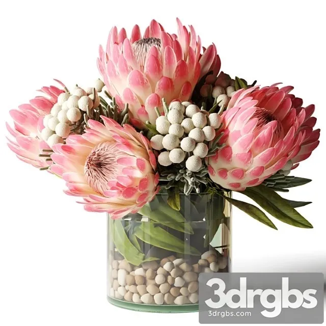 Bouquet of Pink Proteas With Balls 3D Model Download Bouquet of Pink Proteas With Balls 3D Model Download