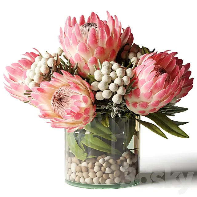 Bouquet of pink proteas with balls 3D Model Bouquet of pink proteas with balls 3D Model