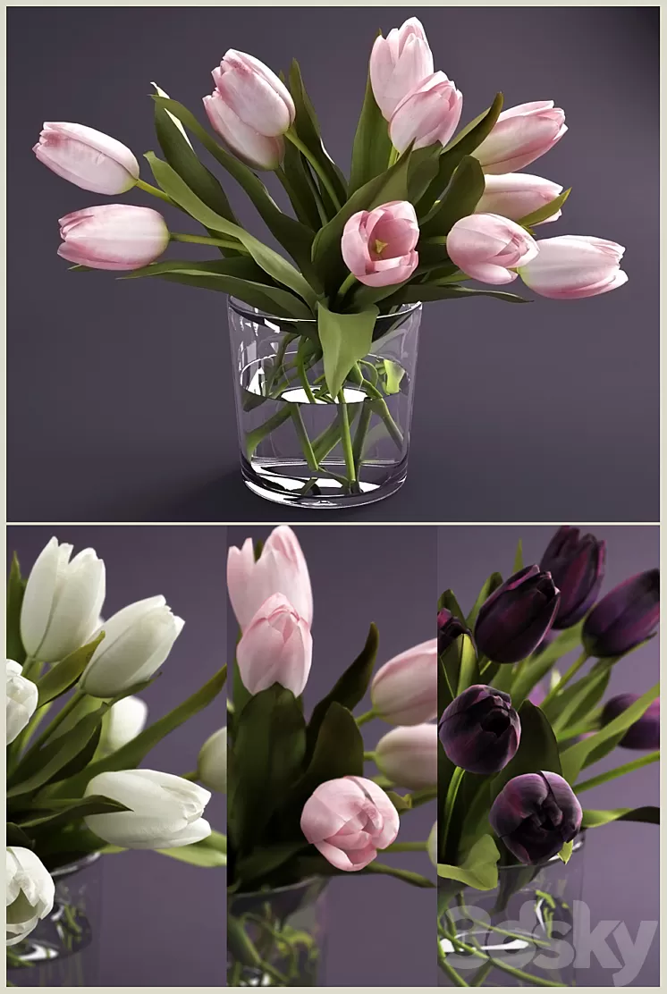 Bouquet of tulips 3D Model Bouquet of tulips 3D Model