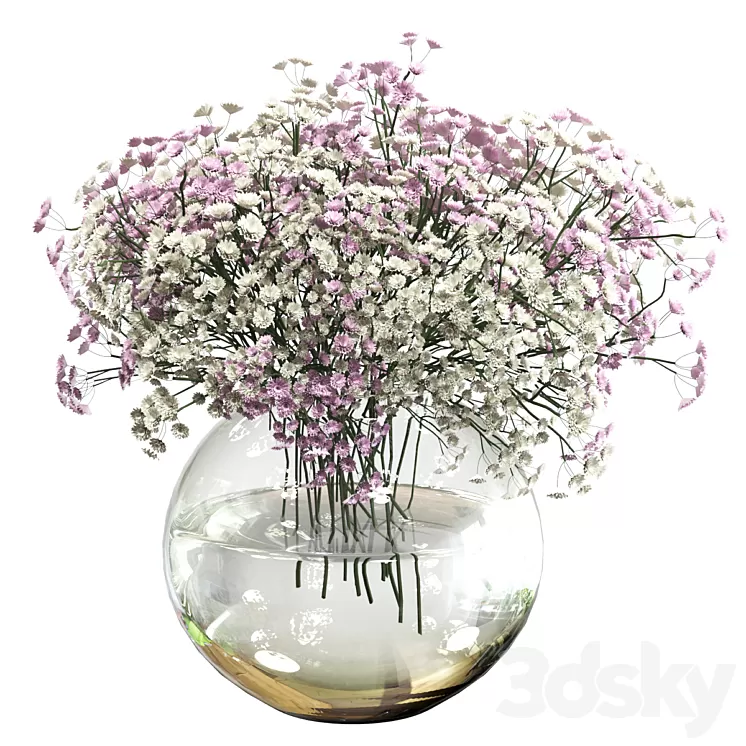 Bouquet of white and pink gypsophila 3D Model Free Download
