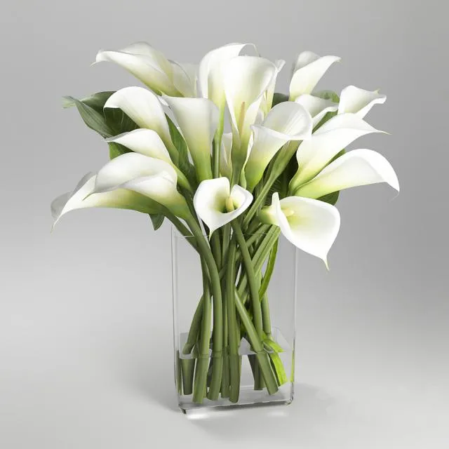 Bouquet of white calla lilies 3D Model