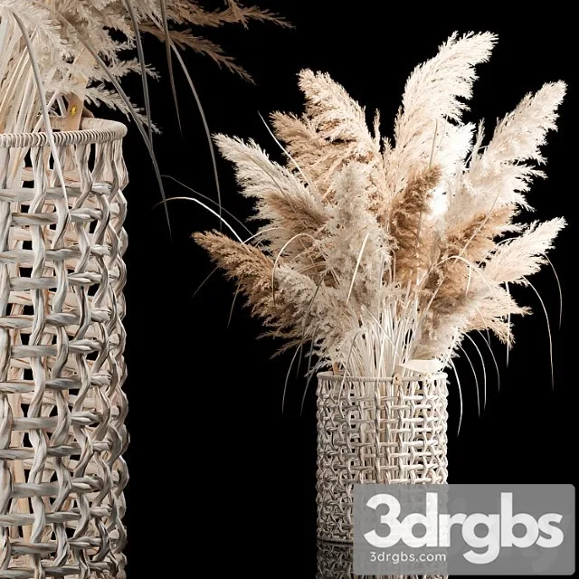Bouquet Of White Dried Flowers In A Wicker Basket Reeds Pampas Grass Cortaderia 256 3D Model Download Bouquet Of White Dried Flowers In A Wicker Basket Reeds Pampas Grass Cortaderia 256 3D Model Download