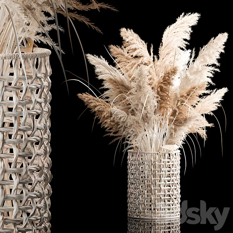 Bouquet of white dried flowers in a wicker basket reeds pampas grass Cortaderia. 256. 3D Model