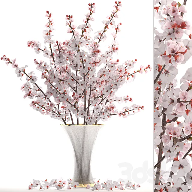 Bouquet of white flowers 24.Bouquet of cherry blossoms sakura branches vase decor white 3D Model Bouquet of white flowers 24.Bouquet of cherry blossoms sakura branches vase decor white 3D Model