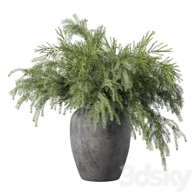 Bouquet Pine Branches Set.27 3D Model