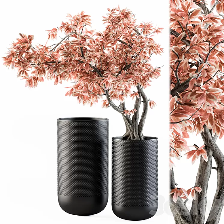 Bouquet Set 17 – Pink Bonsai 3D Model