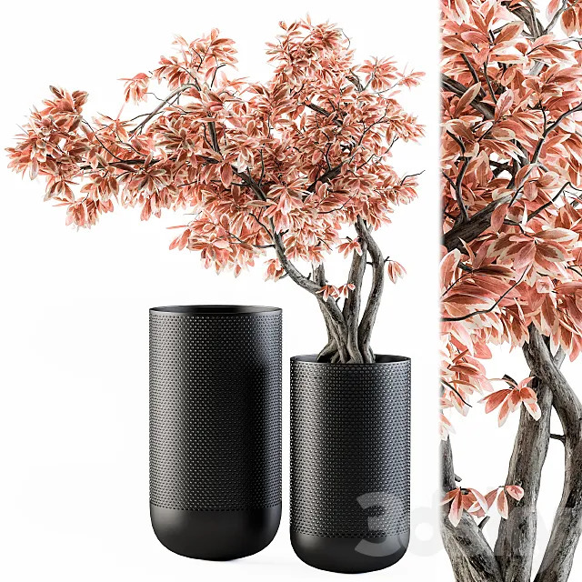 Bouquet Set 17 – Pink Bonsai 3DModel