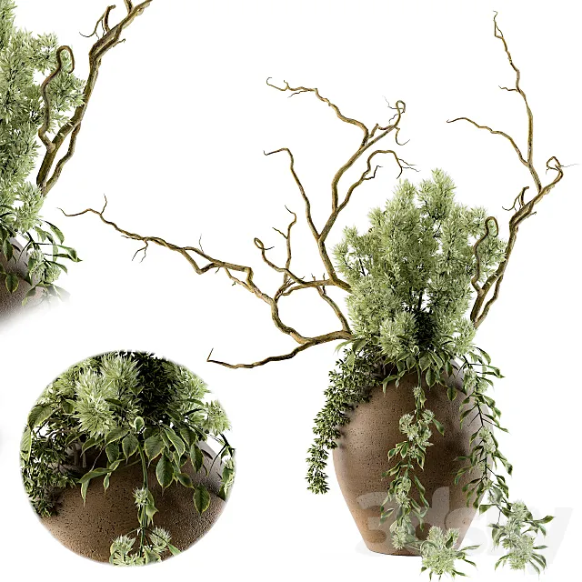 Bouquet Set 18 3D Model