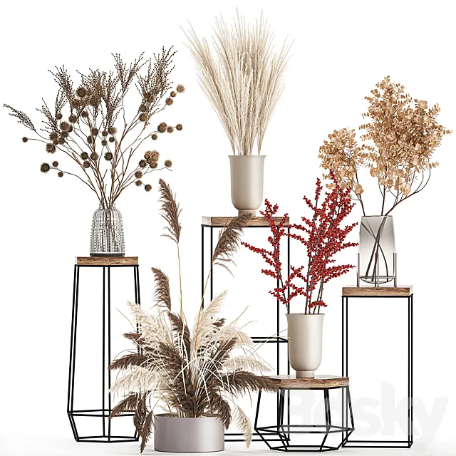 Bouquet set 212. Dried flower. vase. decor. shelf. branches. thorns. pampas grass 3DModel Bouquet set 212. Dried flower. vase. decor. shelf. branches. thorns. pampas grass 3DModel